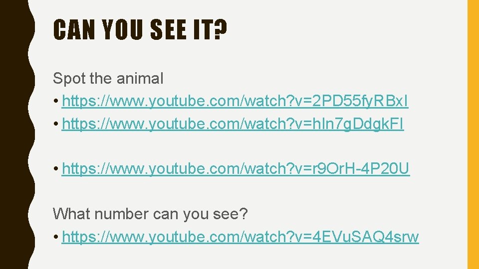 CAN YOU SEE IT? Spot the animal • https: //www. youtube. com/watch? v=2 PD