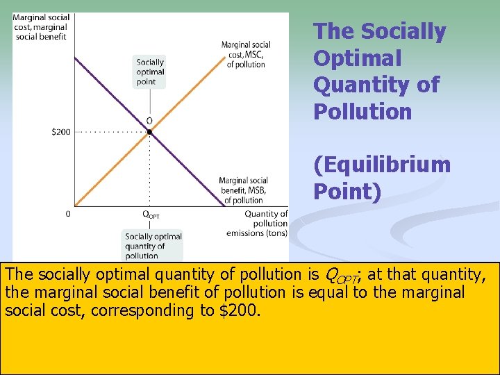 The Socially Optimal Quantity of Pollution (Equilibrium Point) The socially optimal quantity of pollution