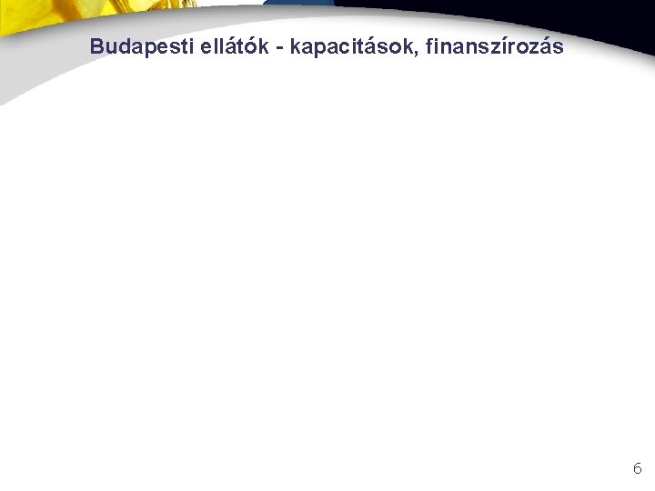 Budapesti ellátók - kapacitások, finanszírozás 6 