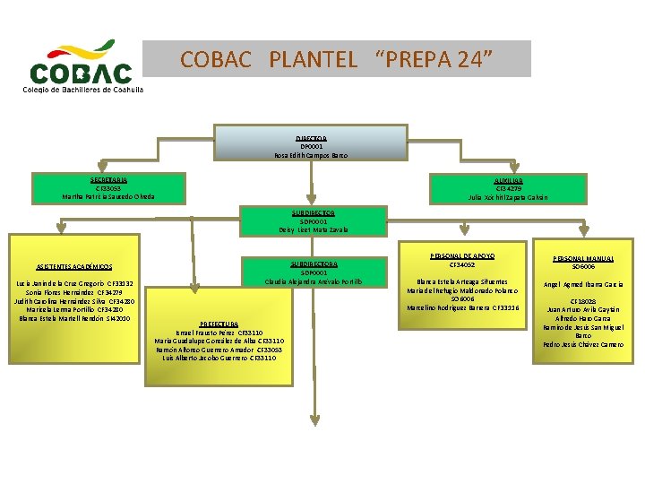 COBAC PLANTEL “PREPA 24” DIRECTOR DP 0001 Rosa Edith Campos Barco SECRETARIA CF 33053