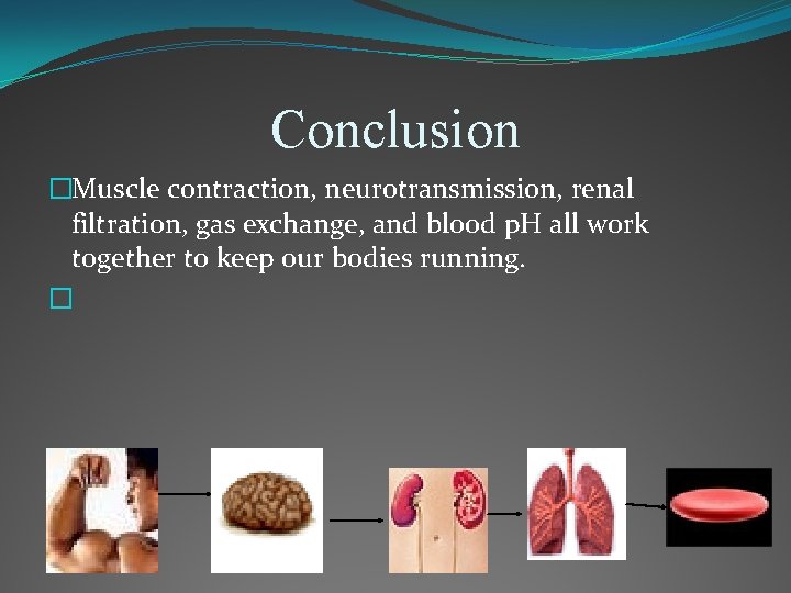 Conclusion �Muscle contraction, neurotransmission, renal filtration, gas exchange, and blood p. H all work