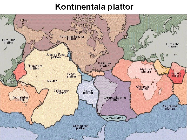 Kontinentala plattor 