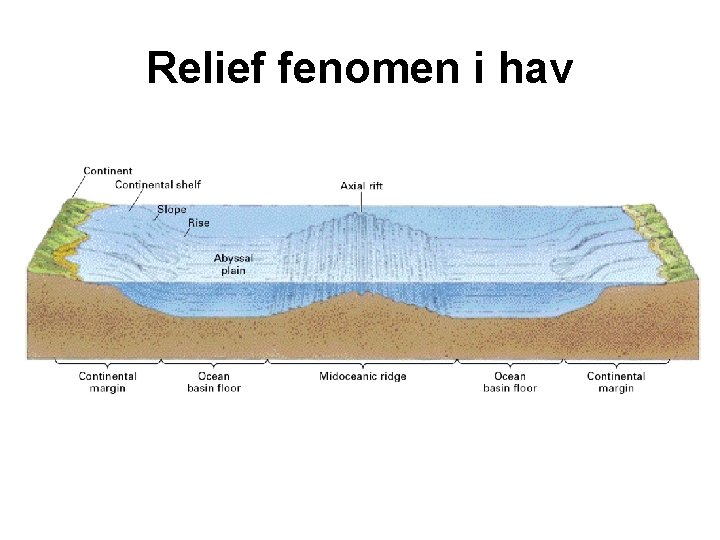 Relief fenomen i hav 