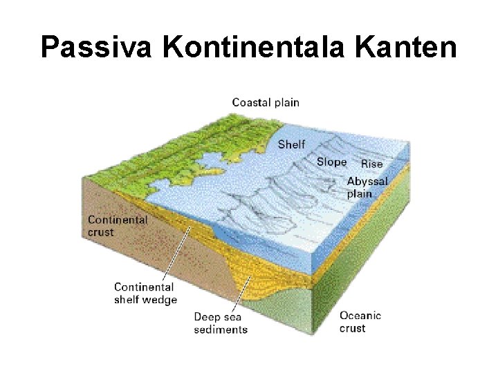 Passiva Kontinentala Kanten 