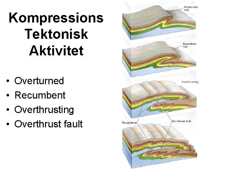 Kompressions Tektonisk Aktivitet • • Overturned Recumbent Overthrusting Overthrust fault 