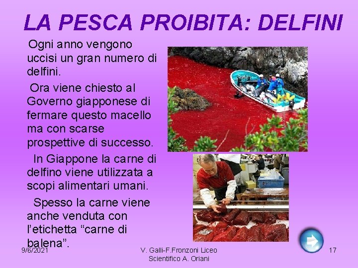 LA PESCA PROIBITA: DELFINI Ogni anno vengono uccisi un gran numero di delfini. Ora