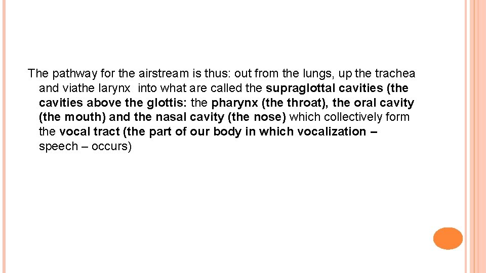 The pathway for the airstream is thus: out from the lungs, up the trachea