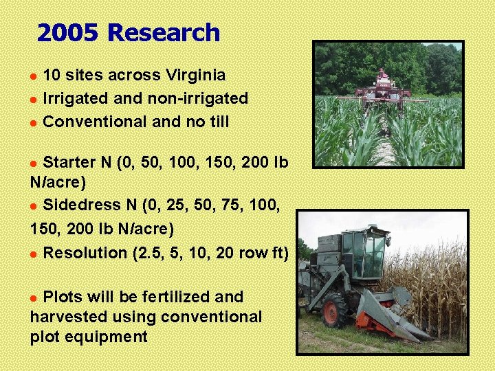 2005 Research 10 sites across Virginia l Irrigated and non-irrigated l Conventional and no