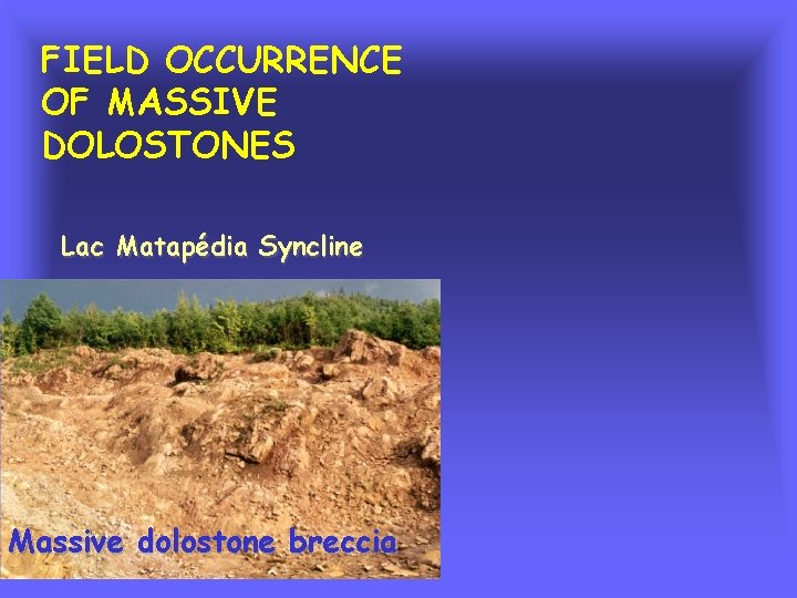 FIELD OCCURRENCE OF MASSIVE DOLOSTONES Lac Matapédia Syncline Massive dolostone breccia 