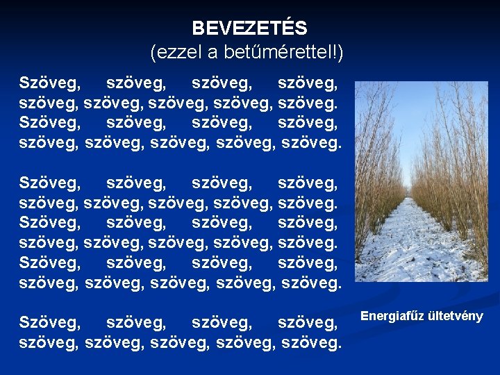 BEVEZETÉS (ezzel a betűmérettel!) Szöveg, szöveg, szöveg, szöveg, szöveg, szöveg, szöveg, szöveg, szöveg. Energiafűz