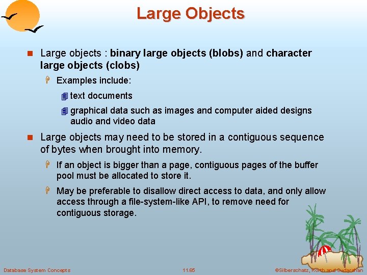 Large Objects n Large objects : binary large objects (blobs) and character large objects