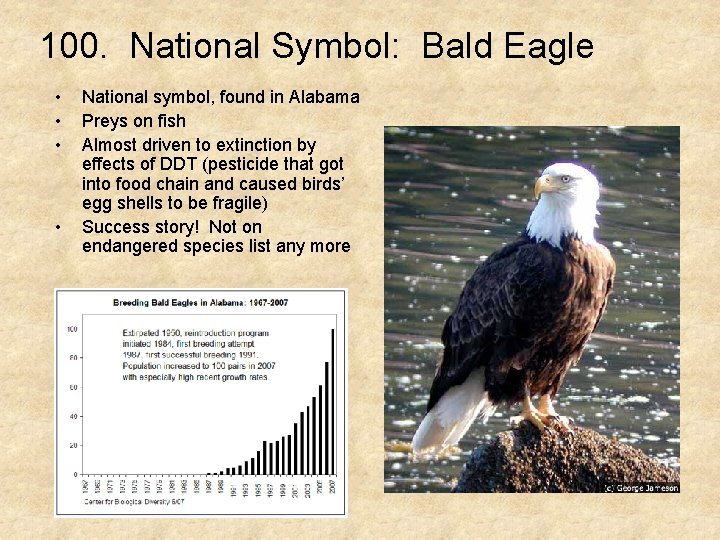 100. National Symbol: Bald Eagle • • National symbol, found in Alabama Preys on