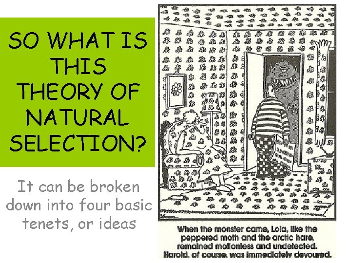 SO WHAT IS THEORY OF NATURAL SELECTION? It can be broken down into four