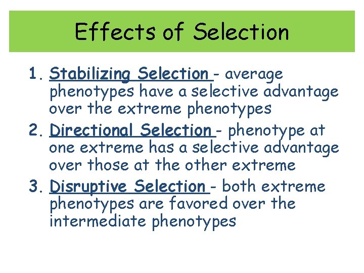 Effects of Selection 1. Stabilizing Selection - average phenotypes have a selective advantage over