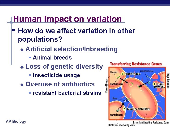 Human Impact on variation § How do we affect variation in other populations? u
