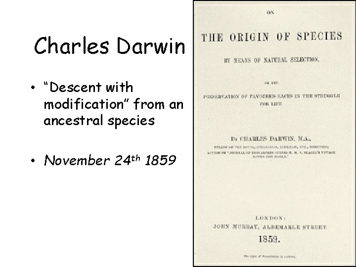 Charles Darwin • “Descent with modification” from an ancestral species • November 24 th