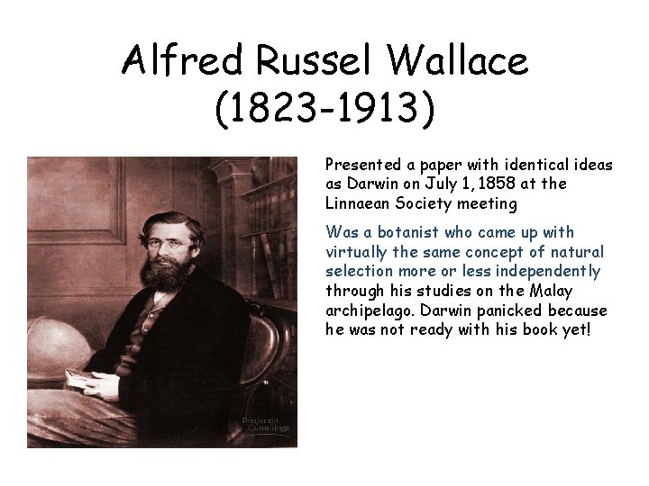 Alfred Russel Wallace (1823 -1913) Presented a paper with identical ideas as Darwin on