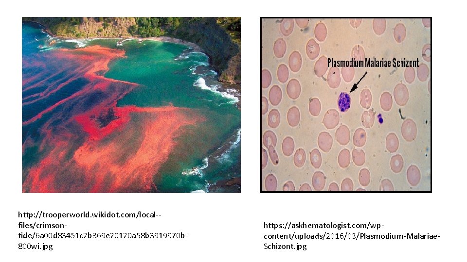 http: //trooperworld. wikidot. com/local-files/crimsontide/6 a 00 d 83451 c 2 b 369 e 20120