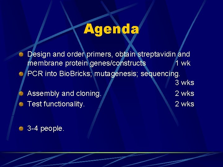 Agenda Design and order primers, obtain streptavidin and membrane protein genes/constructs 1 wk PCR