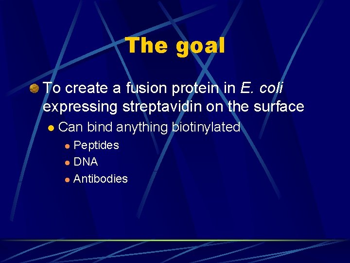 The goal To create a fusion protein in E. coli expressing streptavidin on the