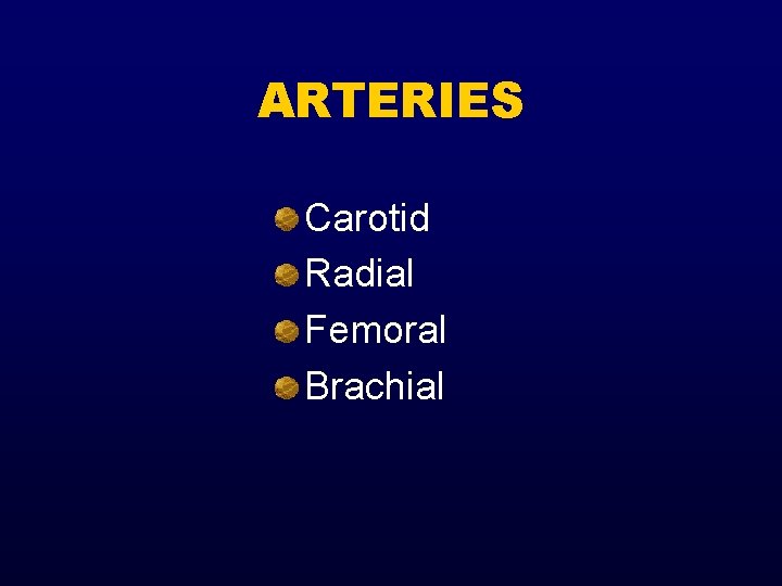 ARTERIES Carotid Radial Femoral Brachial 