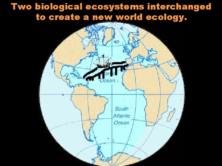 Two biological ecosystems interchanged to create a new world ecology. 