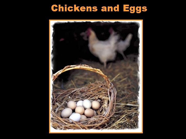 Chickens and Eggs 