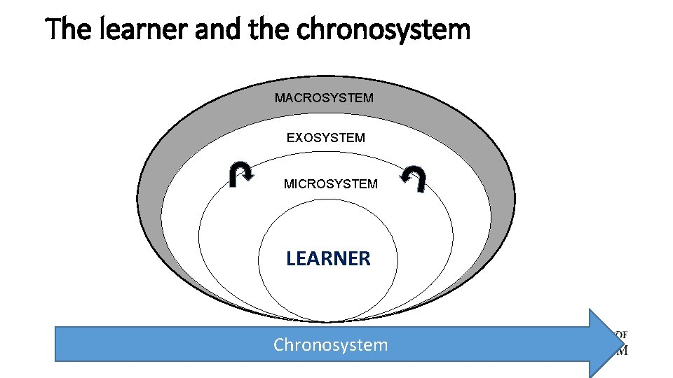 The learner and the chronosystem MACROSYSTEM EXOSYSTEM MICROSYSTEM LEARNER Chronosystem 