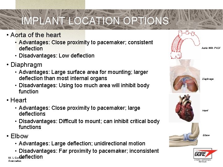 IMPLANT LOCATION OPTIONS • Aorta of the heart • Advantages: Close proximity to pacemaker;