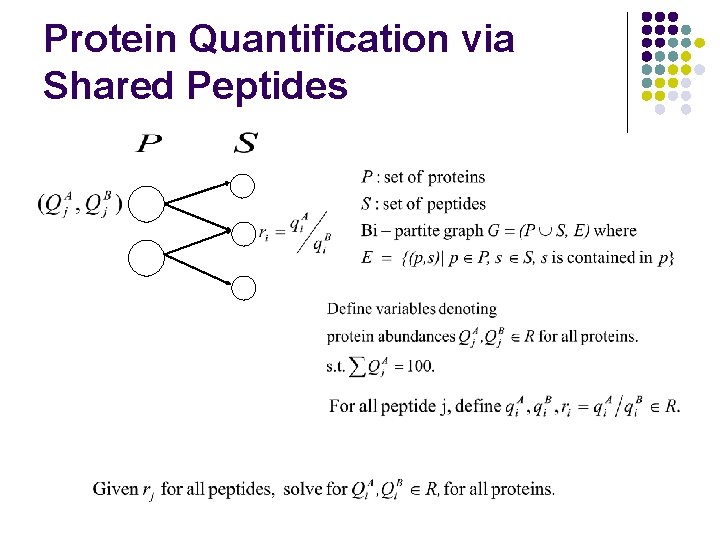 Protein Quantification via Shared Peptides 