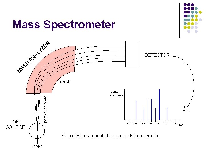 Mass Spectrometer R E Z Y L A S S A DETECTOR AN M