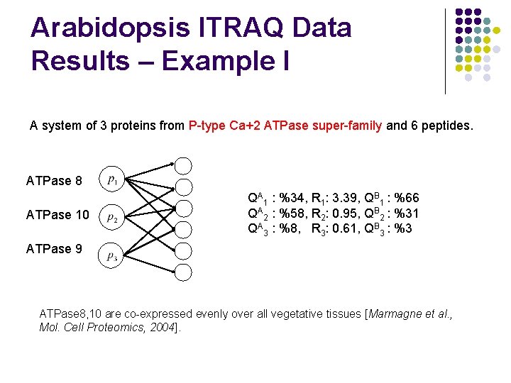 Arabidopsis ITRAQ Data Results – Example I A system of 3 proteins from P-type