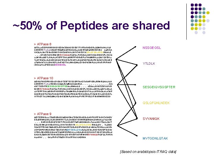 ~50% of Peptides are shared > ATPase 8 MTSLLKSSPGRRRGGDVESGKSEHADSDSDTFYIPSKNASIERLQQWRKAALVLN ASRRFRYTLDLKKEQETREMRQKIRSHAHALLAANRFMDMGRESGVEK. . . ILMVAA VASLALGIKTEGIKEGWYDGGSIAFAVILVIVVTAVSDYKQSLQFQNLNDEKRNIHLE