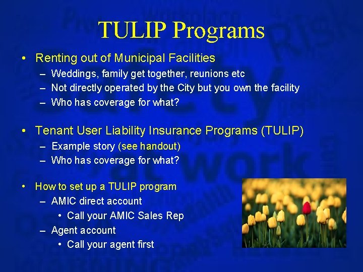 TULIP Programs • Renting out of Municipal Facilities – Weddings, family get together, reunions