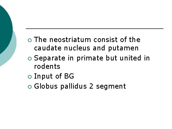 The neostriatum consist of the caudate nucleus and putamen ¡ Separate in primate but