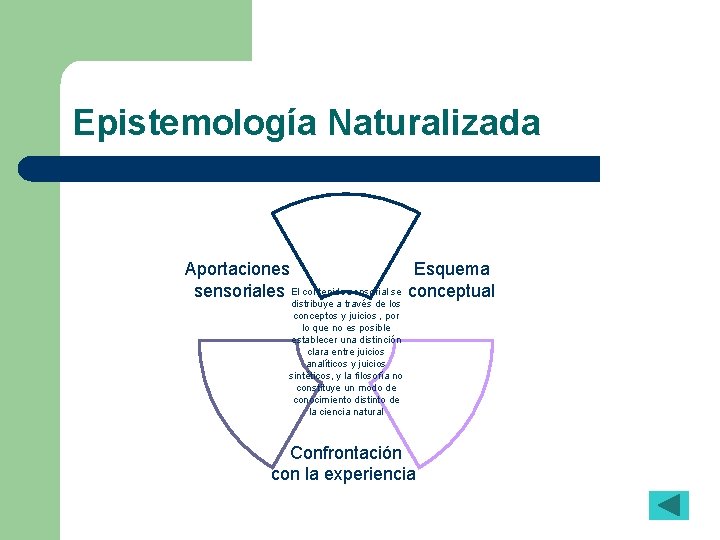 Epistemología Naturalizada Aportaciones Esquema sensoriales El contenido sensorial se conceptual distribuye a través de