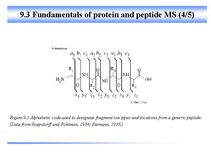 9. 3 Fundamentals of protein and peptide MS (4/5) Figure 9. 3 Alphabetic code
