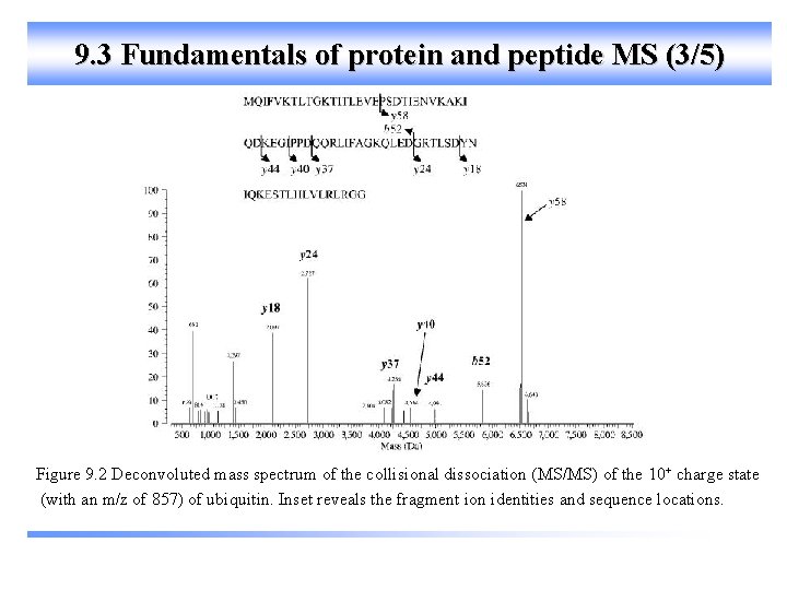 9. 3 Fundamentals of protein and peptide MS (3/5) Figure 9. 2 Deconvoluted mass