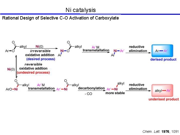 Ni catalysis Rational Design of Selective C-O Activation of Carboxylate Chem. Lett. 1976, 1091