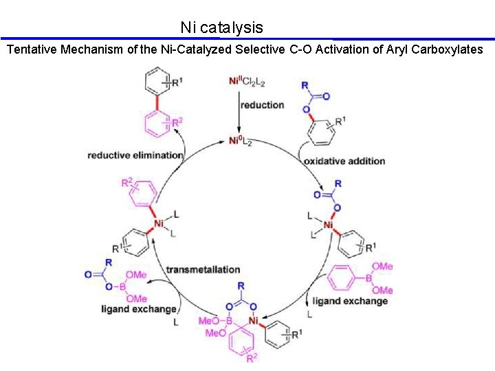 Ni catalysis Tentative Mechanism of the Ni-Catalyzed Selective C-O Activation of Aryl Carboxylates 