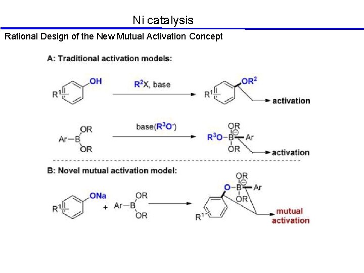 Ni catalysis Rational Design of the New Mutual Activation Concept 