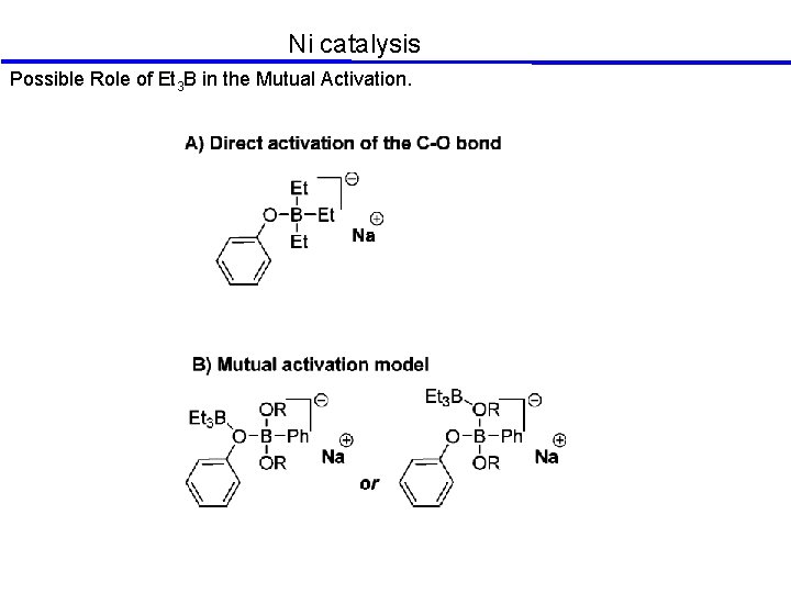 Ni catalysis Possible Role of Et 3 B in the Mutual Activation. 