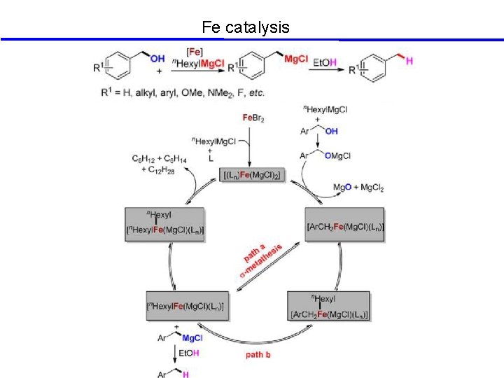 Fe catalysis 