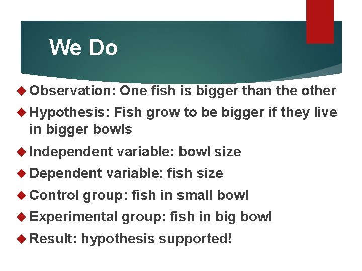 We Do Observation: One fish is bigger than the other Hypothesis: Fish grow to