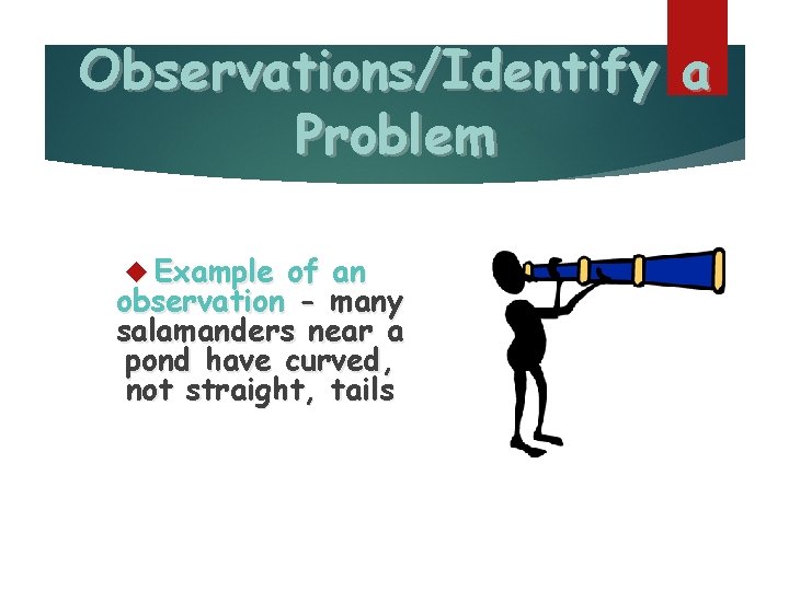 Observations/Identify a Problem Example of an observation - many salamanders near a pond have