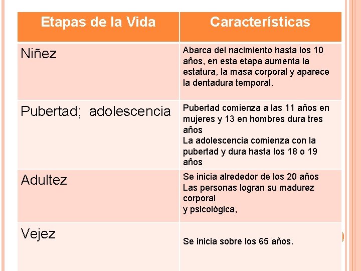 Etapas de la Vida Características Niñez Abarca del nacimiento hasta los 10 años, en