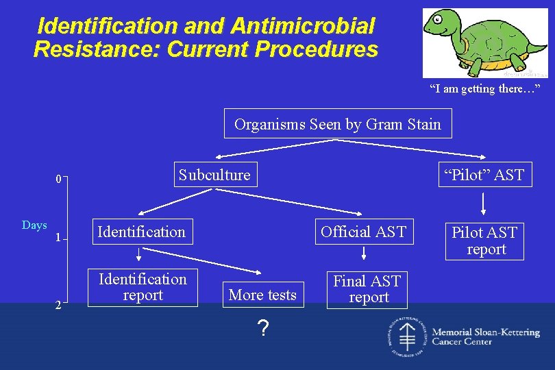 Identification and Antimicrobial Resistance: Current Procedures “I am getting there…” Organisms Seen by Gram