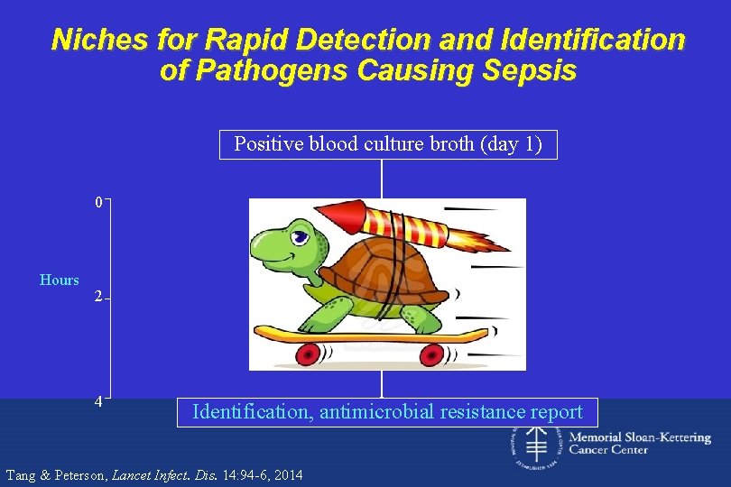Niches for Rapid Detection and Identification of Pathogens Causing Sepsis Positive blood culture broth