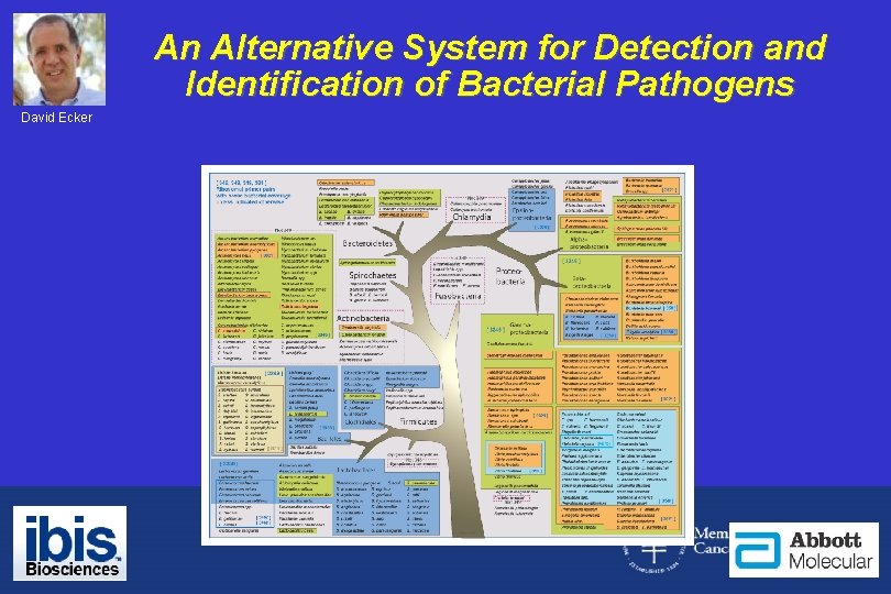 An Alternative System for Detection and Identification of Bacterial Pathogens David Ecker 