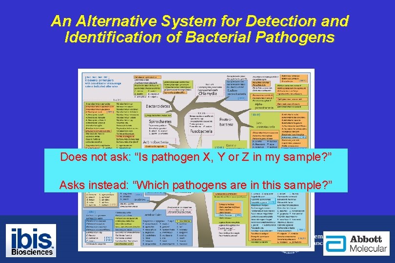 An Alternative System for Detection and Identification of Bacterial Pathogens Does not ask: “Is